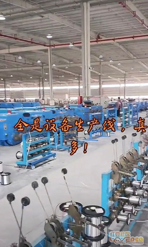 鐘山擁抱新機遇 東莞電子廠設備整體搬遷助力產業升級