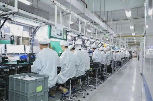 機械廠與電子廠 機械電子設備領域的職業選擇指南